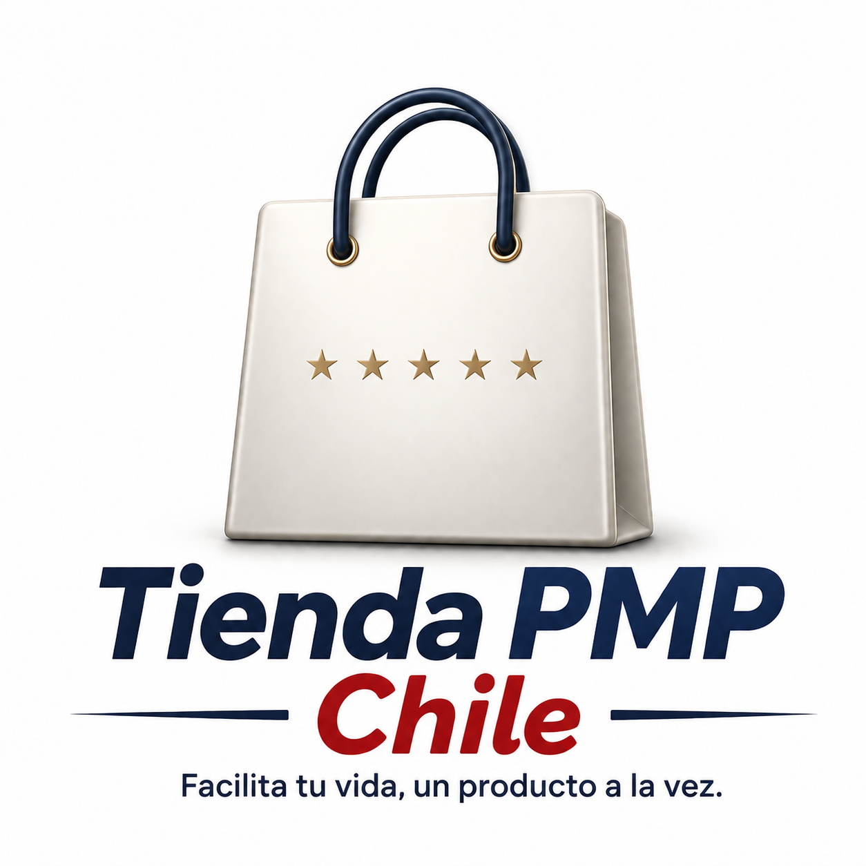 PMP Chile
